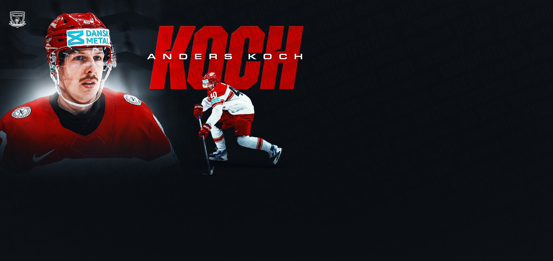 www.mountfieldhk.cz