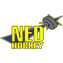 NED Hockey Nymburk